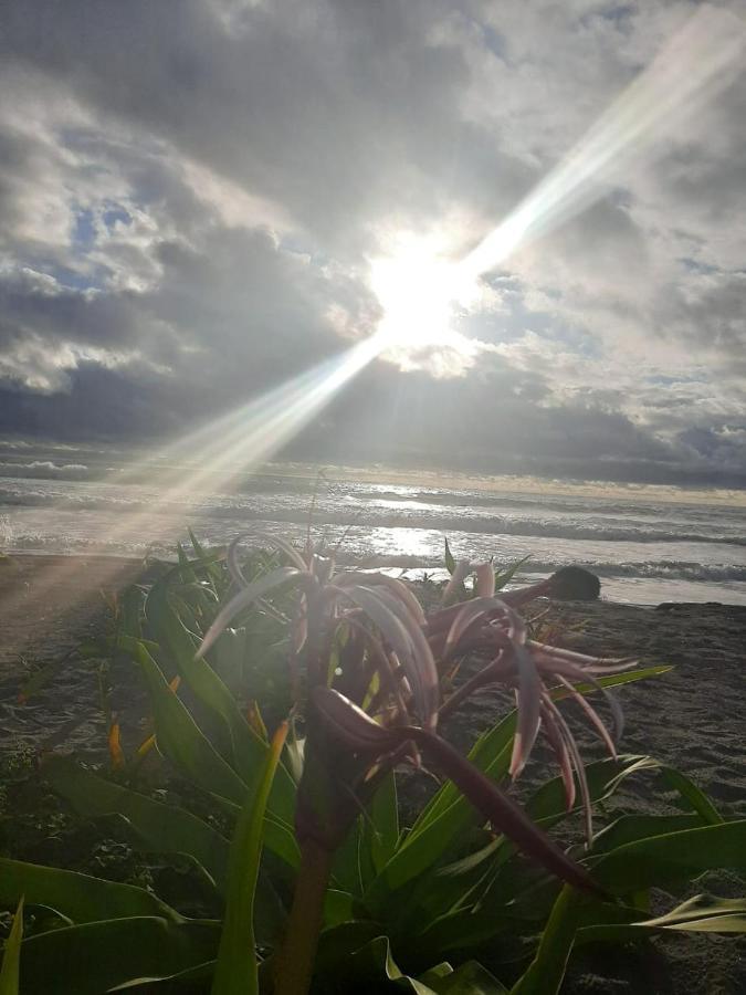Seaside Garden Ecolodge Mompiche Dış mekan fotoğraf