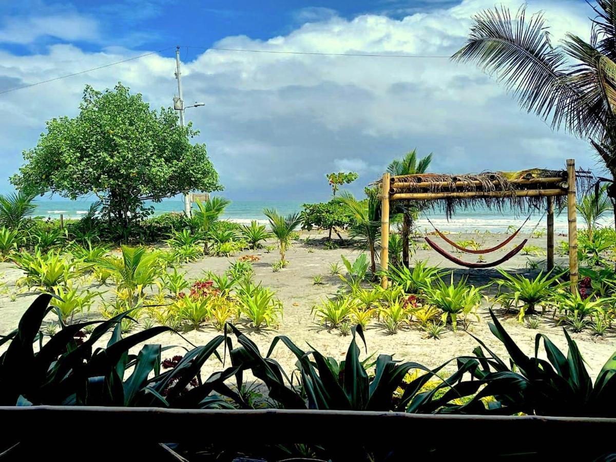Seaside Garden Ecolodge Mompiche Dış mekan fotoğraf