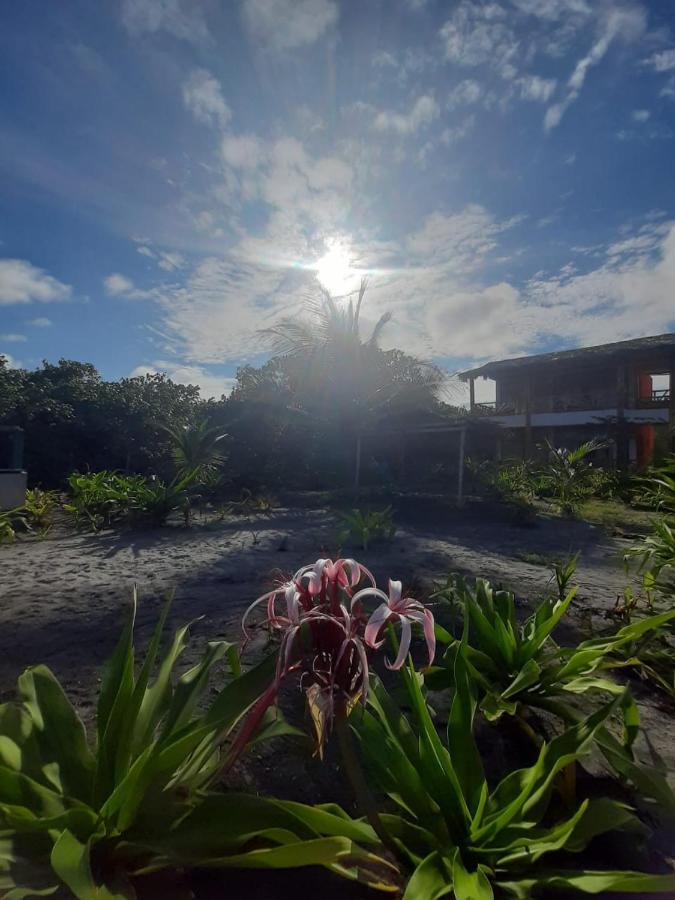 Seaside Garden Ecolodge Mompiche Dış mekan fotoğraf
