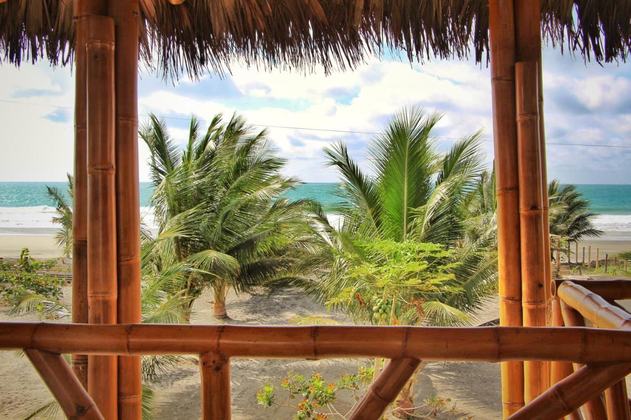 Seaside Garden Ecolodge Mompiche Dış mekan fotoğraf